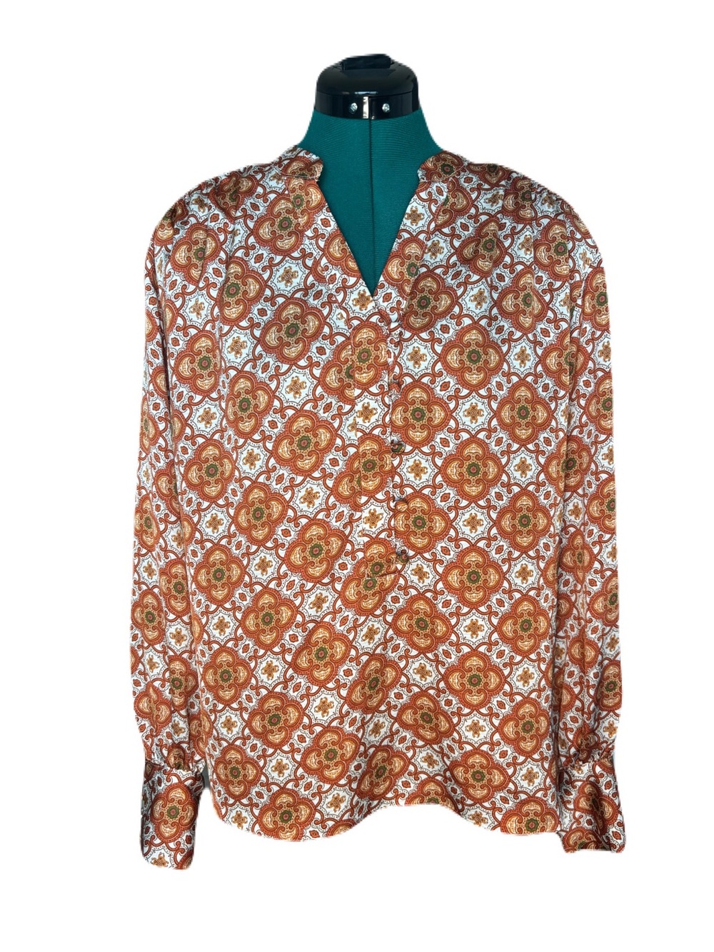 Ryegrass V-Neck Long-Sleeve Boho Blouse in Rust Floral